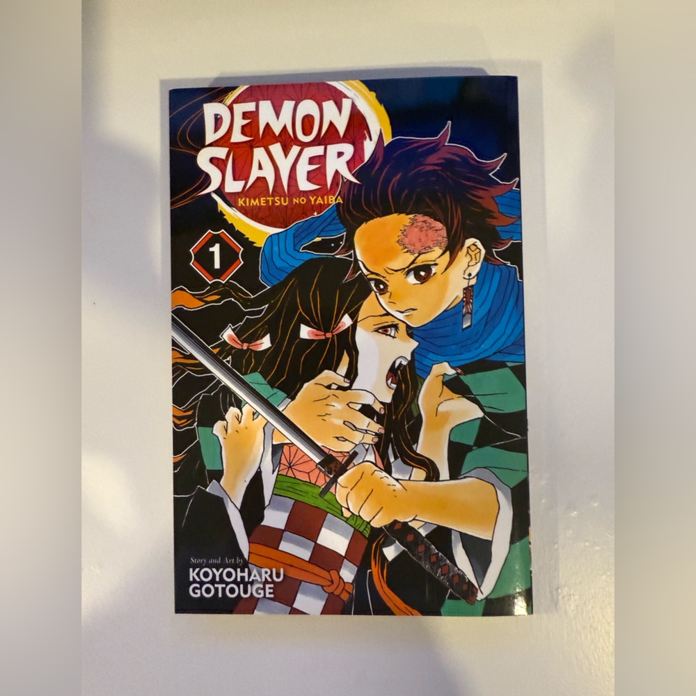Barnes & Noble Demon Slayer Manga Vol. 1 - Multicolor